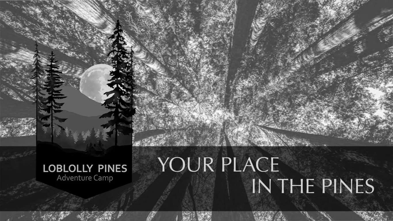 Loblolly Pines #3 Adventure Aframe Villa Eureka Springs Buitenkant foto